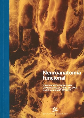 Neuroanatomia Funcional