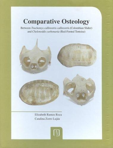 Comparative Osteology. Between Trachemys Callirostris Callirostris And Chelonoidis Carbonaria