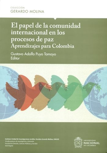 Papel De La Comunidad Internacional En Los Procesos De Paz Aprendizajes Para Colombia, El
