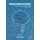 Neuroanatomia Fundamentos De Neuroanatomia Estructural Funcional Y Clinica