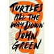 Turtles All The Way Down