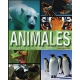 Animales