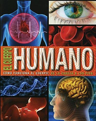 Cuerpo Humano