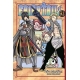Fairy Tail 31