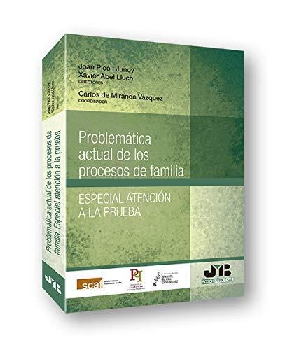 Problematica Actual De Los Procesos De Familia. Especial Atencion A La Prueba