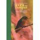 Guia Infografica De Las Aves Del Campus De La Pontificia Universidad Javeriana Sede Central