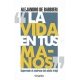Vida En Tus Manos, La
