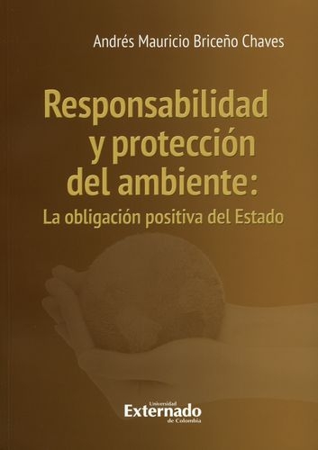 Responsabilidad Y Proteccion Del Ambiente La Obligacion Positiva Del Estado