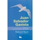 Juan Salvador Gaviota