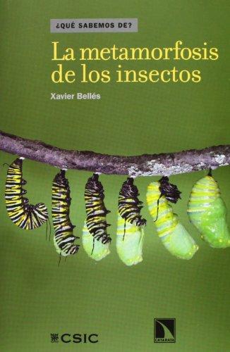 Metamorfosis De Los Insectos, La