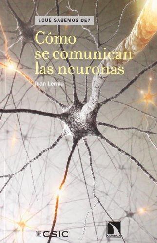 Como Se Comunican Las Neuronas